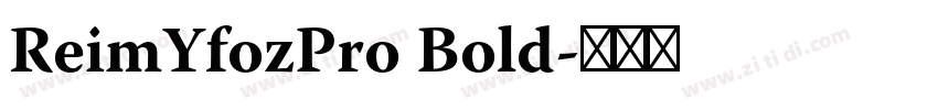 ReimYfozPro Bold字体转换